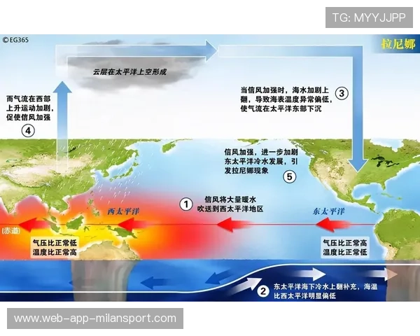 冬窗转会风向牌：谁将成为改变者？