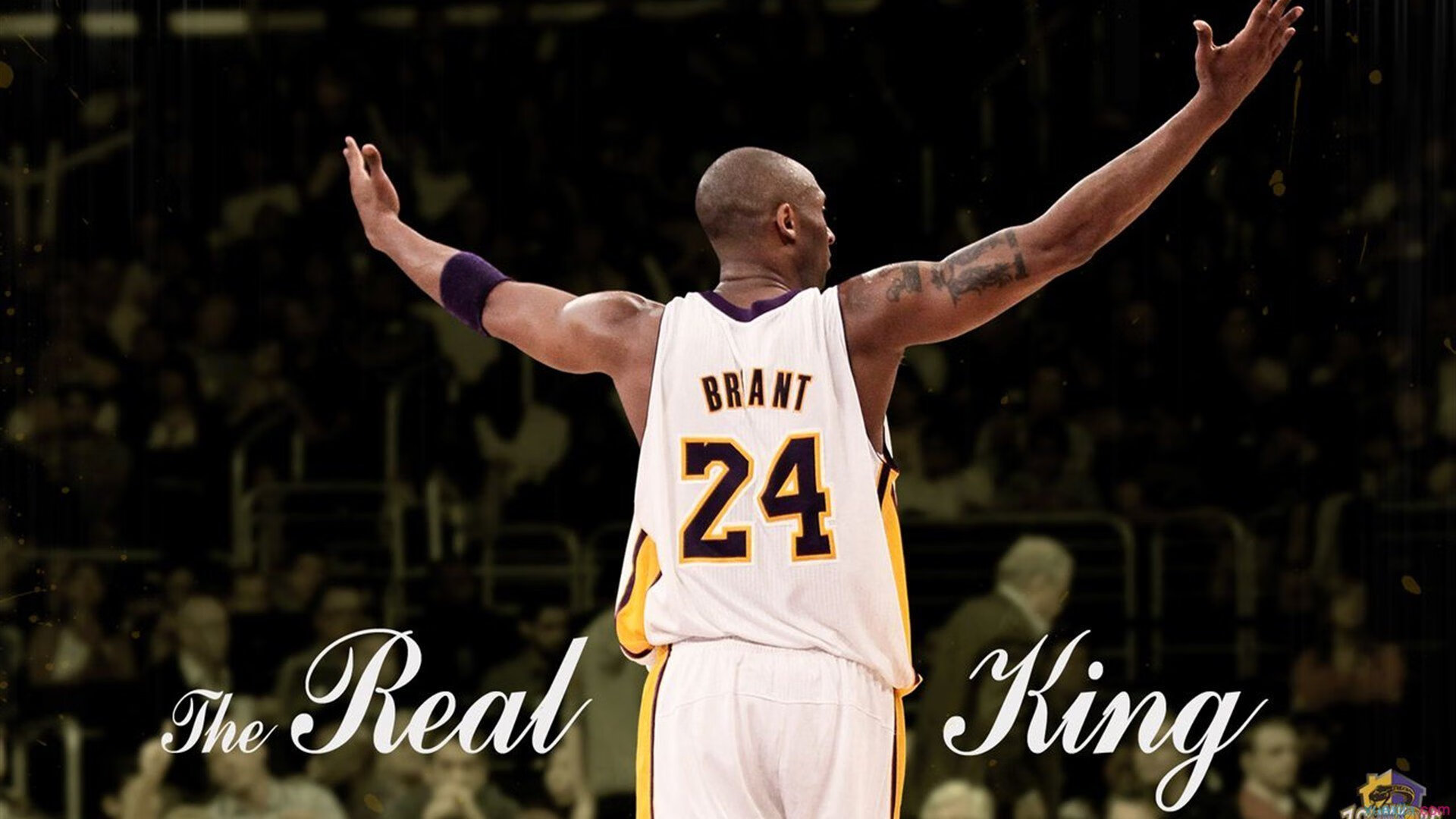 米兰体育APP-《堡垒之夜》全球巡回赛多场精彩瞬间回顾，堡垒之夜联赛